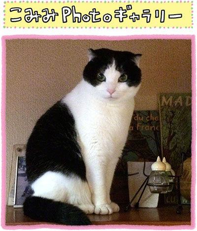 こみみの小耳もみみのうち03