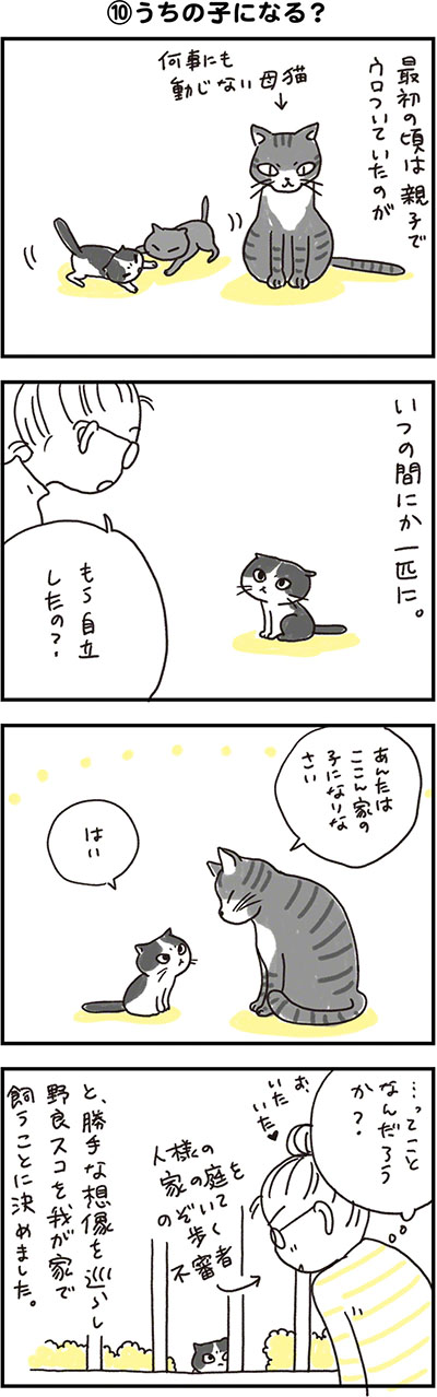 こみみの小耳もみみのうち09