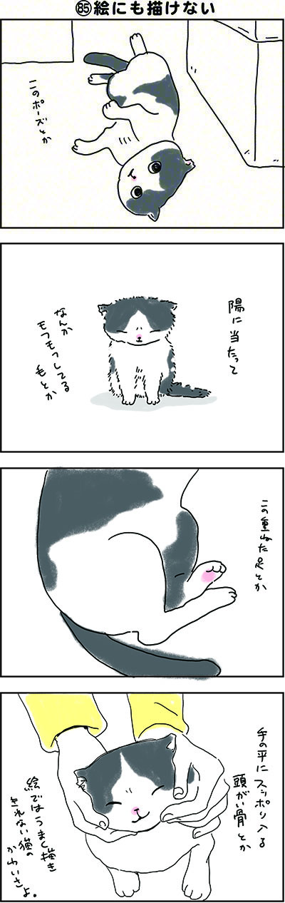 こみみの小耳もみみのうち02