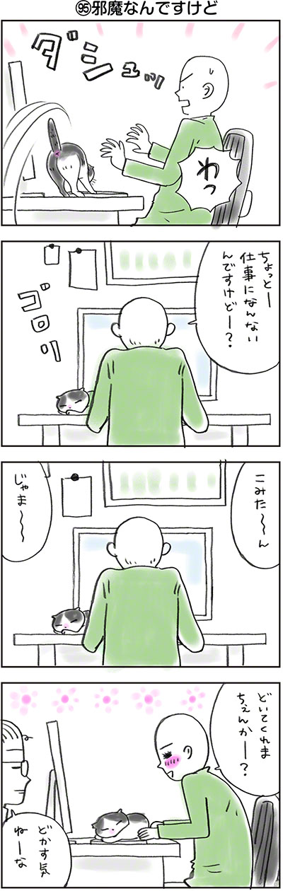 こみみの小耳もみみのうち1