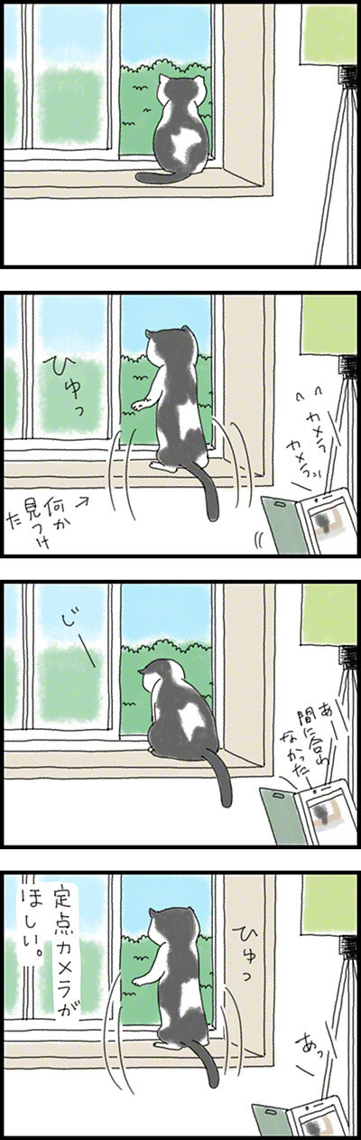 こみみの小耳もみみのうち1