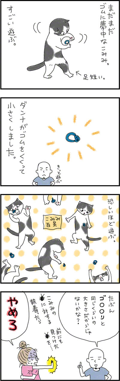 こみみの小耳もみみのうち 3