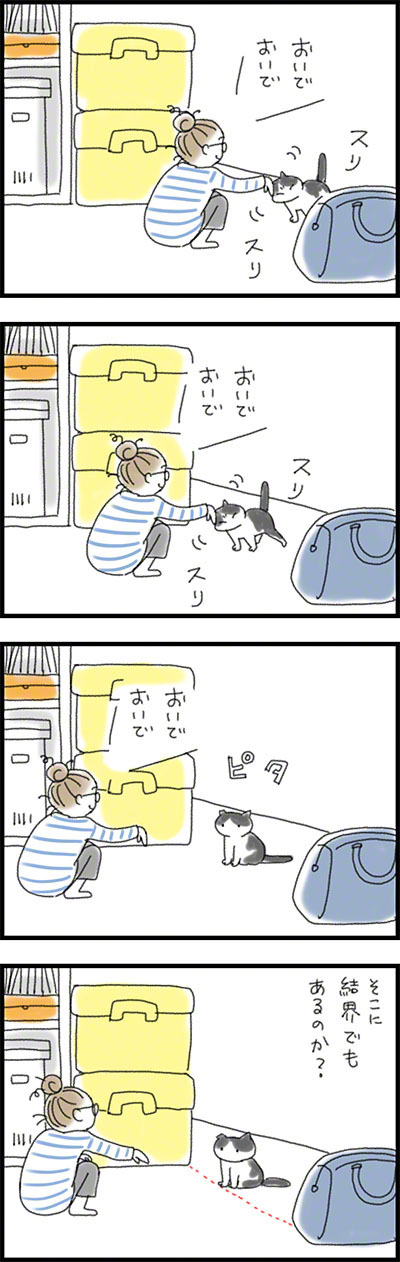 こみみの小耳もみみのうち5