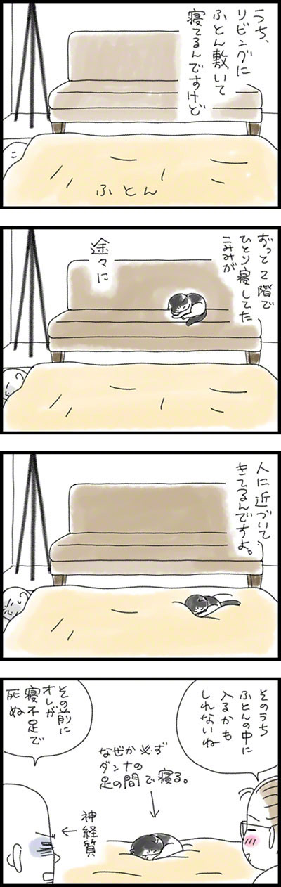 こみみの小耳もみみのうち3