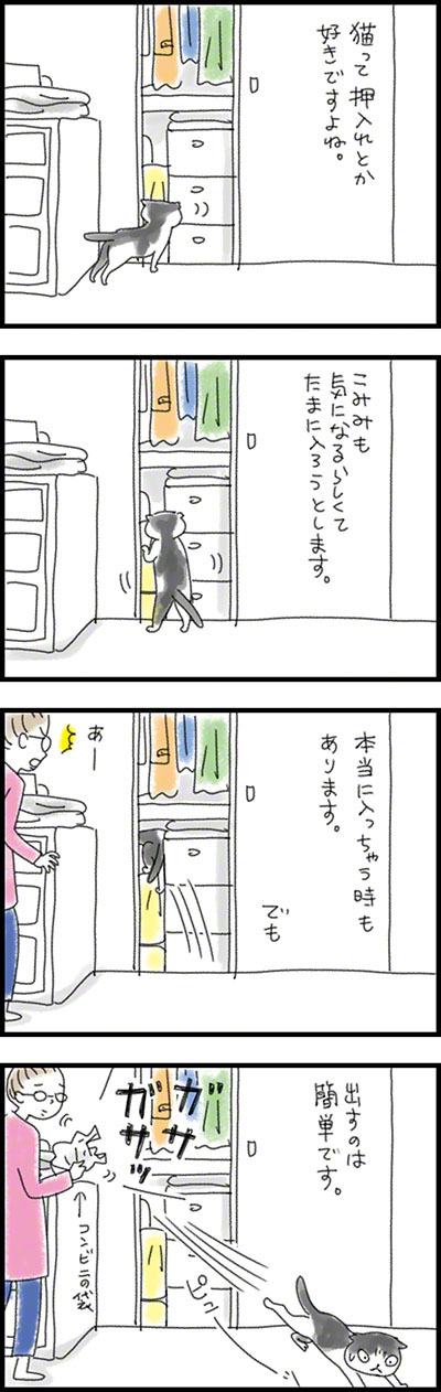 こみみの小耳もみみのうち5