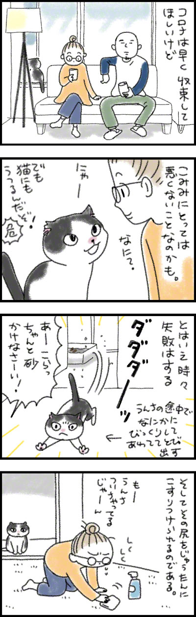 こみみの小耳もみみのうち6