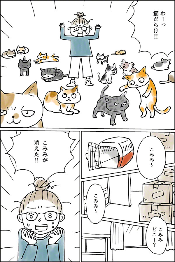 夢の中の猫の話02